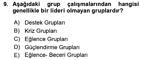 Gruplarla Sosyal Hizmet 2023-2024 Ara Sınav - 9. soru