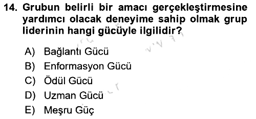Gruplarla Sosyal Hizmet 2023-2024 Dönem Sonu Sınavı - 14. soru