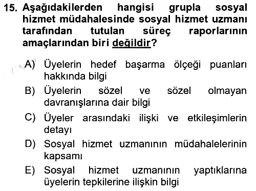 Gruplarla Sosyal Hizmet 2022-2023 Yaz Okulu Sınavı - 15. soru