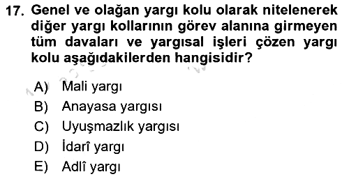 Hukukun Temel Kavramları 2024-2025 Ara Sınav - 17. soru