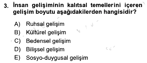 İnsan Davranışı Ve Sosyal Çevre 1 2024-2025 Dönem Sonu Sınavı - 3. soru