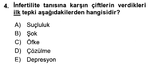 İnsan Davranışı Ve Sosyal Çevre 1 2021-2022 Yaz Okulu Sınavı - 4. soru