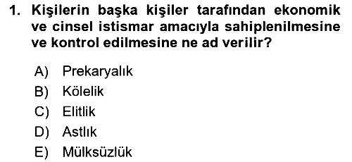 İnsan Davranışı Ve Sosyal Çevre 2 2023-2024 Dönem Sonu Sınavı - 1. soru