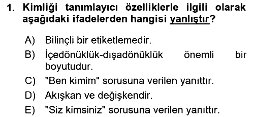 İnsan Davranışı Ve Sosyal Çevre 2 2024-2025 Dönem Sonu Sınavı - 1. soru