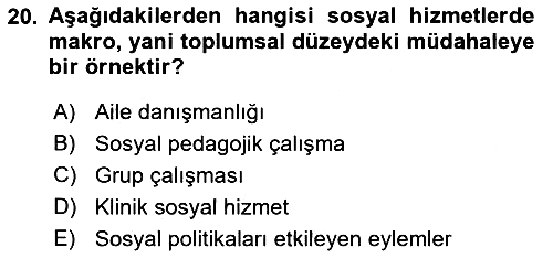 İnsan Davranışı Ve Sosyal Çevre 2 2021-2022 Yaz Okulu Sınavı - 20. soru