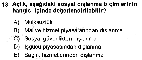 İnsan Davranışı Ve Sosyal Çevre 2 2025-2026 Dönem Sonu Sınavı - 13. soru