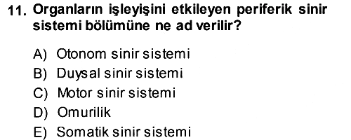 Psikoloji 2013-2014 Ara Sınav - 11. soru