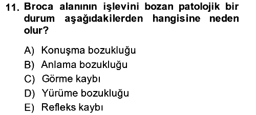 Psikoloji 2014-2015 Ara Sınav - 11. soru