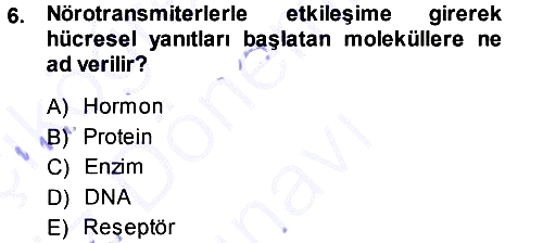 Psikoloji 2013-2014 Dönem Sonu Sınavı - 6. soru