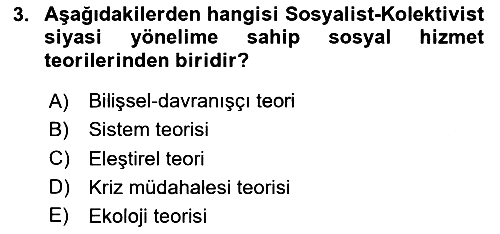 Sosyal Hizmet Kuram Ve Yaklaşımları 2020-2021 Yaz Okulu Sınavı - 3. soru