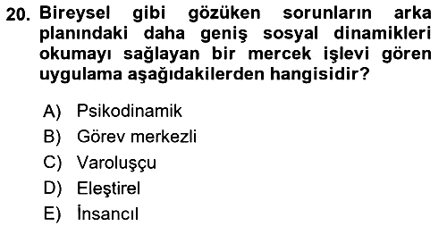 Sosyal Hizmet Kuram Ve Yaklaşımları 2020-2021 Yaz Okulu Sınavı - 20. soru