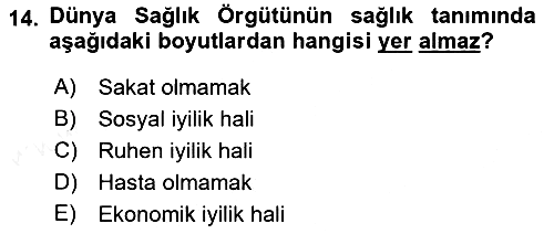 Sosyal Hizmet Kuruluşları 2017-2018 3 Ders Sınavı - 14. soru