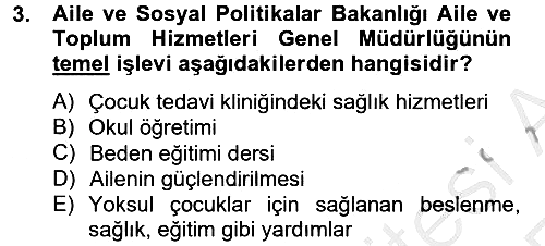 Sosyal Hizmet Kuruluşları 2012-2013 Ara Sınav - 3. soru