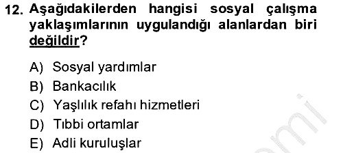 Sosyal Hizmet Kuruluşları 2013-2014 Ara Sınav - 12. soru