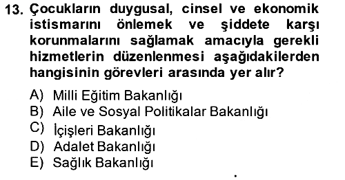 Sosyal Hizmet Kuruluşları 2014-2015 Ara Sınav - 13. soru