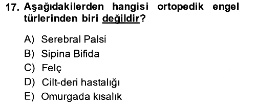 Sosyal Hizmet Kuruluşları 2014-2015 Ara Sınav - 17. soru