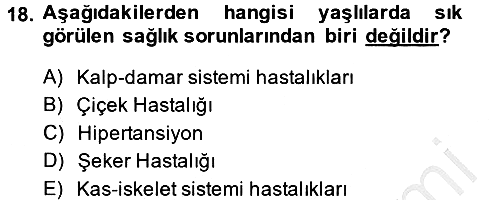 Sosyal Hizmet Kuruluşları 2014-2015 Ara Sınav - 18. soru