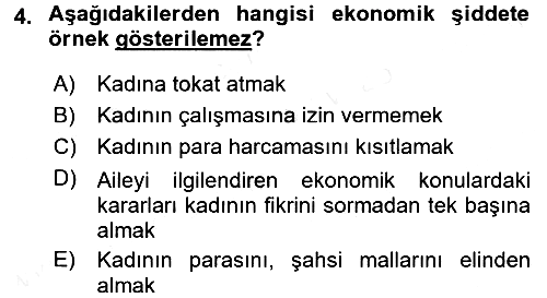 Sosyal Hizmet Kuruluşları 2015-2016 Ara Sınav - 4. soru