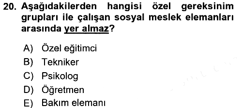 Sosyal Hizmet Kuruluşları 2015-2016 Ara Sınav - 20. soru