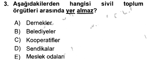Sosyal Hizmet Kuruluşları 2016-2017 Ara Sınav - 3. soru