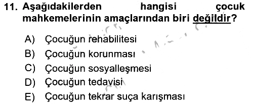 Sosyal Hizmet Kuruluşları 2016-2017 Ara Sınav - 11. soru