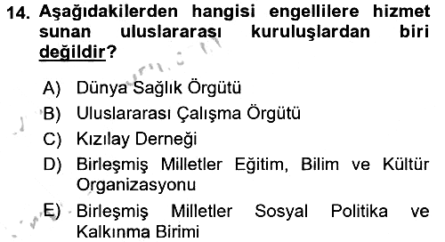 Sosyal Hizmet Kuruluşları 2016-2017 Ara Sınav - 14. soru