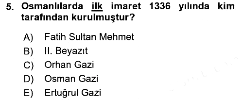 Sosyal Hizmet Kuruluşları 2018-2019 Ara Sınav - 5. soru