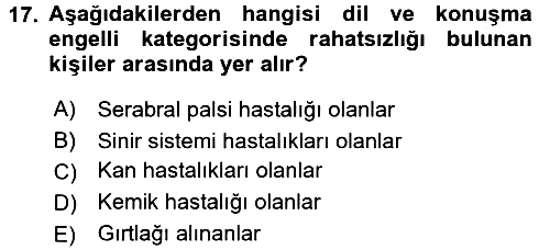 Sosyal Hizmet Kuruluşları 2018-2019 Ara Sınav - 17. soru