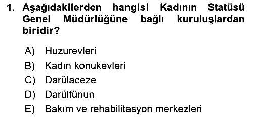 Sosyal Hizmet Kuruluşları 2023-2024 Ara Sınav - 1. soru