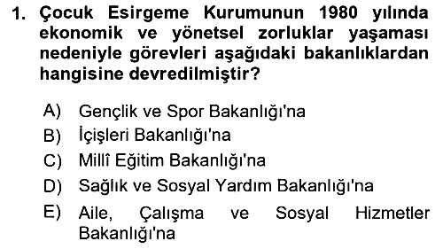 Sosyal Hizmet Kuruluşları 2020-2021 Yaz Okulu Sınavı - 1. soru