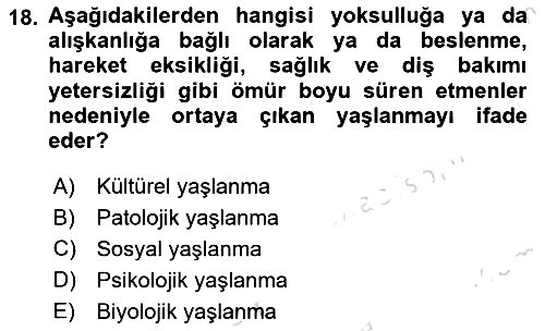 Sosyal Hizmet Kuruluşları 2025-2026 Ara Sınav - 18. soru