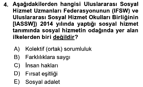 Sosyal Hizmet Mesleğine Giriş 2024-2025 Ara Sınav - 4. soru