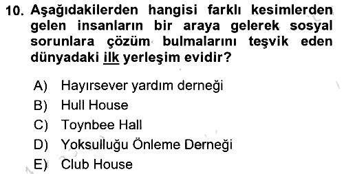 Sosyal Hizmet Mesleğine Giriş 2024-2025 Ara Sınav - 10. soru