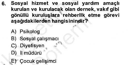 Sosyal Hizmet Yönetimi 2013-2014 Ara Sınav - 6. soru