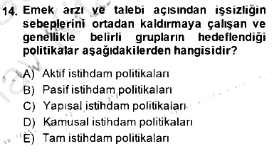 Sosyal Politika 2014-2015 Ara Sınav - 14. soru