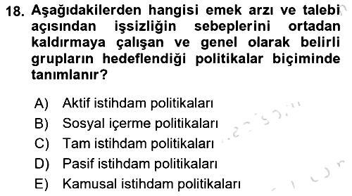 Sosyal Politika 2019-2020 Ara Sınav - 18. soru