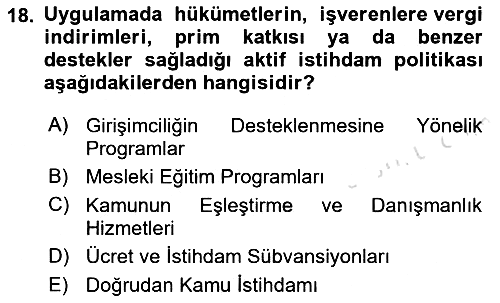 Sosyal Politika 2023-2024 Ara Sınav - 18. soru