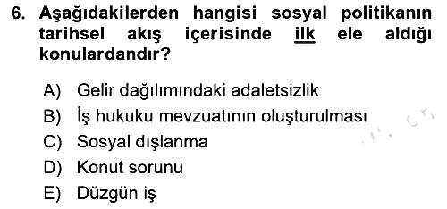 Sosyal Politika 2024-2025 Ara Sınav - 6. soru