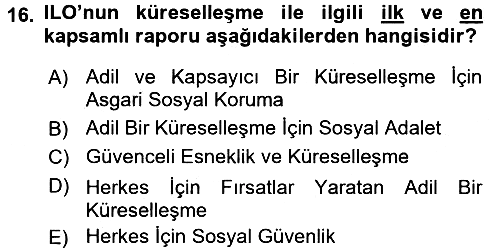 Sosyal Politika 2016-2017 Dönem Sonu Sınavı - 16. soru