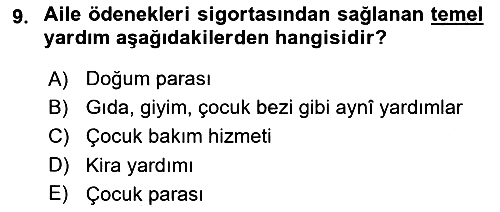 Sosyal Politika 2024-2025 Yaz Okulu Sınavı - 9. soru