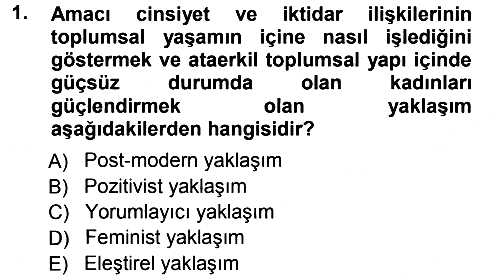Sosyolojiye Giriş 2012-2013 Ara Sınav - 1. soru