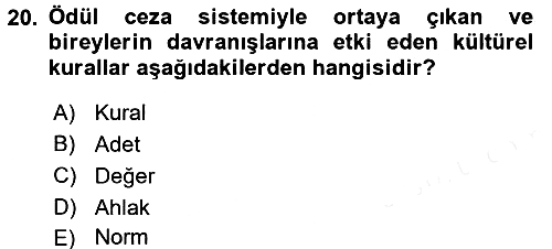 Sosyolojiye Giriş 2017-2018 Dönem Sonu Sınavı - 20. soru