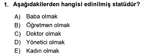 Sosyolojiye Giriş 2025-2026 Dönem Sonu Sınavı - 1. soru