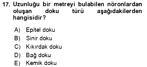 Temel İlkyardım Bilgisi 2021-2022 Ara Sınav - 17. soru