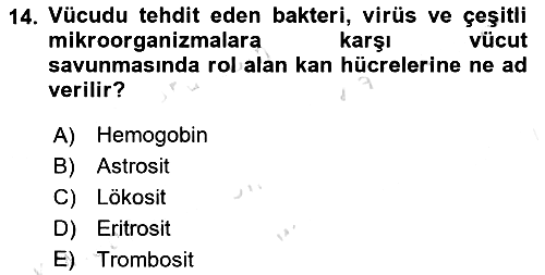Temel İlkyardım Bilgisi 2022-2023 Ara Sınav - 14. soru