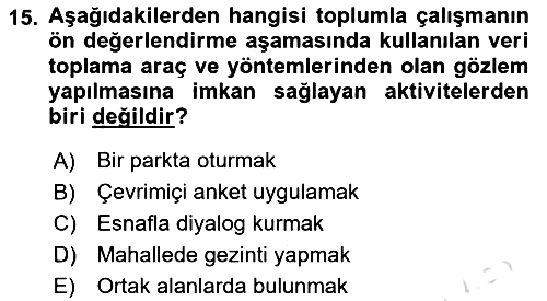 Toplumla Sosyal Hizmet 2024-2025 Ara Sınav - 15. soru