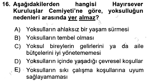 Toplumla Sosyal Hizmet 2024-2025 Ara Sınav - 16. soru
