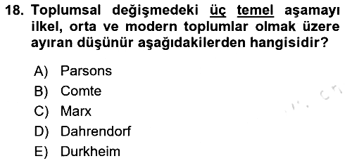 Toplumla Sosyal Hizmet 2024-2025 Ara Sınav - 18. soru