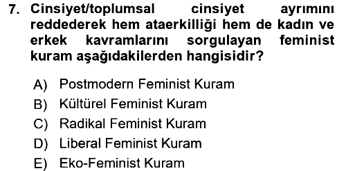 Toplumsal Cinsiyet Sosyolojisi 2017-2018 3 Ders Sınavı - 7. soru