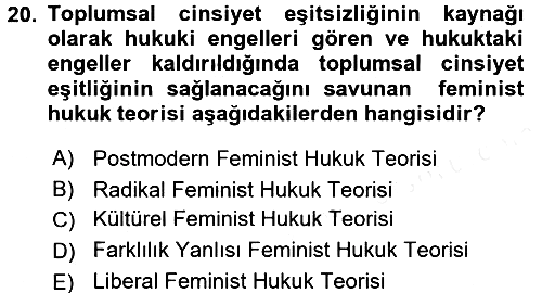Toplumsal Cinsiyet Sosyolojisi 2017-2018 3 Ders Sınavı - 20. soru